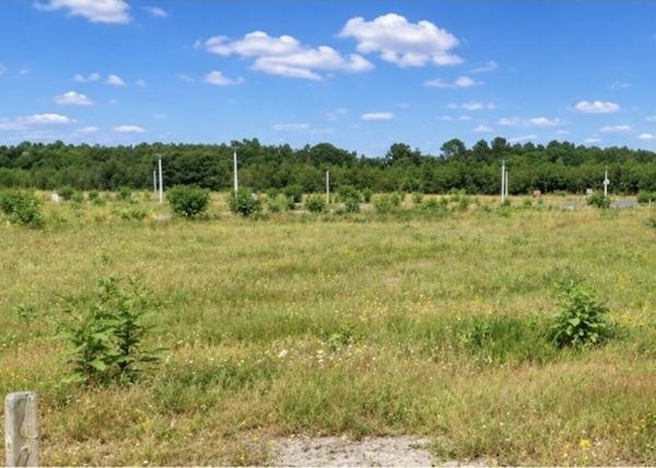 Terrain à bâtir à vendre 89 750 € Ychoux 565 m² DPE