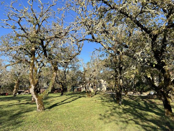 Secteur Cahors. Belle villa avec 4 chambres, piscine et 6670m² de terrain