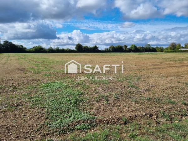 Grand terrain constructible - AXE MATHA - COGNAC