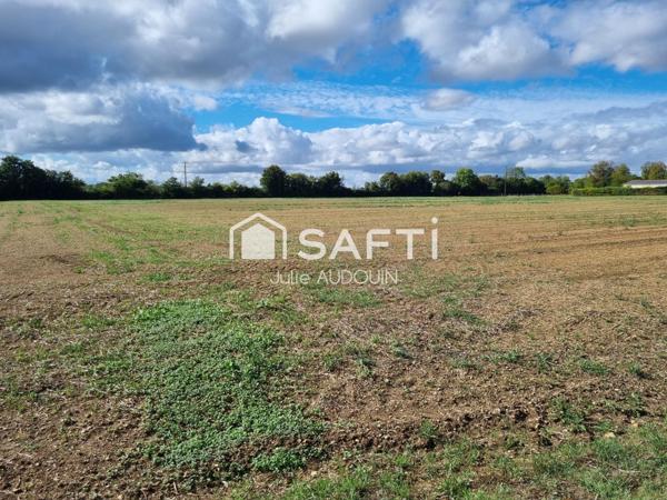 Grand terrain constructible - AXE MATHA - COGNAC