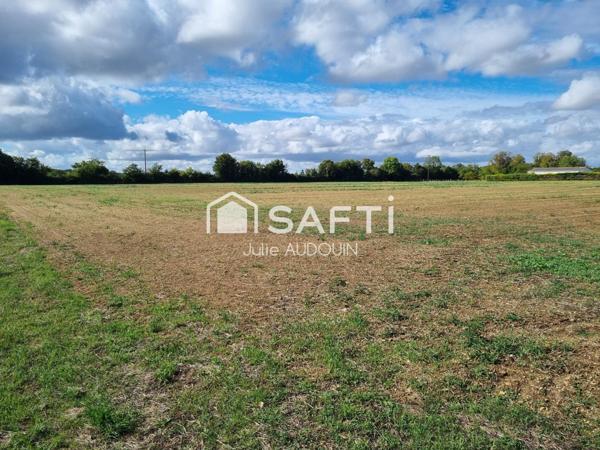 Grand terrain constructible - AXE MATHA - COGNAC