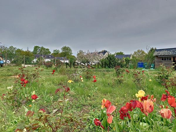 Terrain constructible a vendre en plein centre d Ambon