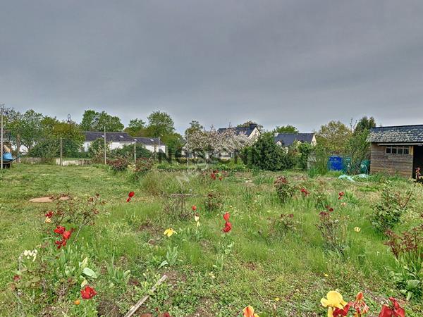 Terrain constructible a vendre en plein centre d Ambon