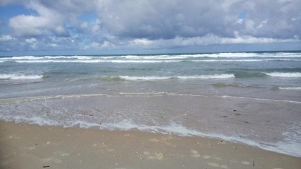 Appartement à vendre |  Lacanau |  2 pièces | 51 m²