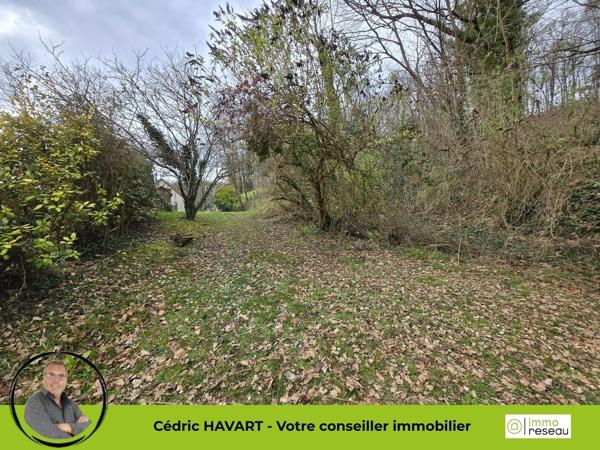 Terrain constructible à SEIGY (41110)