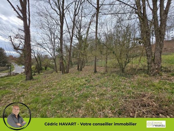 Terrain constructible à SEIGY (41110)