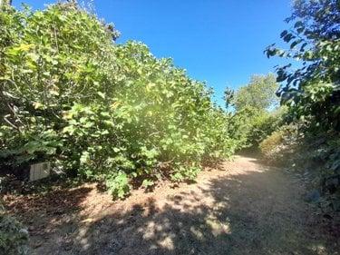 Maison à vendre à Camaret-sur-Mer dans le Finistère (29570), ref : A202500152