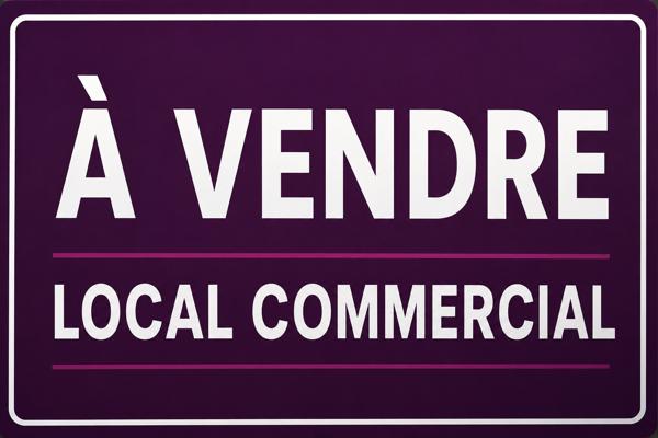 29600 SAINT MARTIN DES CHAMPS Local commercial Saint Martin Des Champs 525 m2
