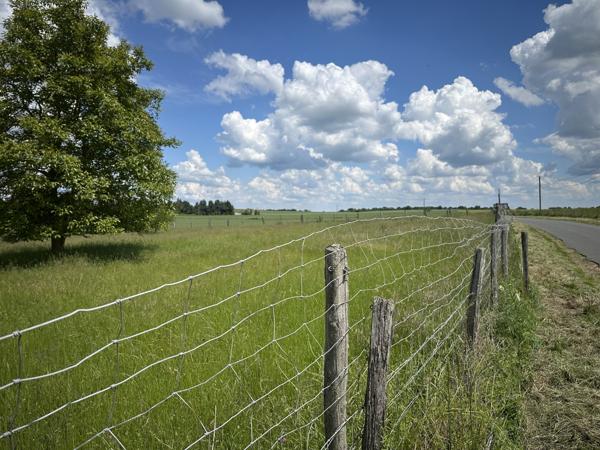 Terrain à bâtir MONTOIRE (41)