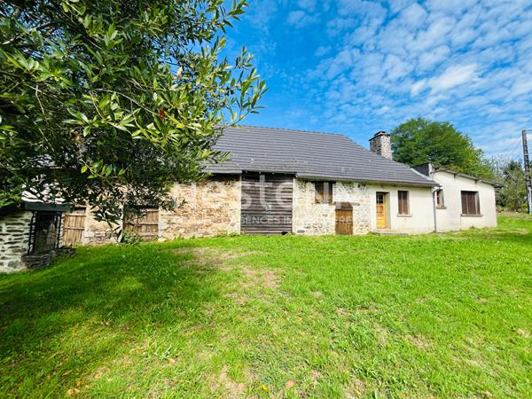 A vendre- Lagraulière- maison en pierre rénovée- grange- petite maison à rénover-puits-four à pain-1.2ha