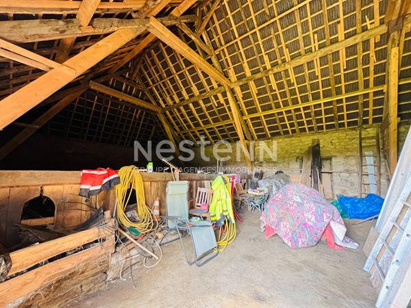 A vendre- Lagraulière- maison en pierre rénovée- grange- petite maison à rénover-puits-four à pain-1.2ha