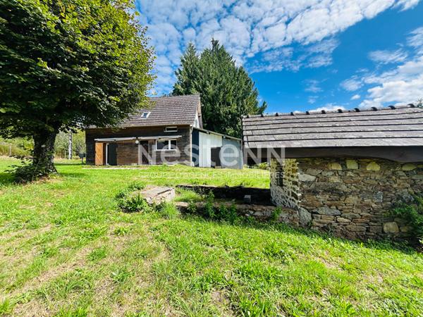 A vendre- Lagraulière- maison en pierre rénovée- grange- petite maison à rénover-puits-four à pain-1.2ha