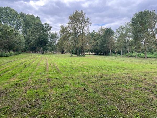 Vente Terrain 4390 m2 à Le Vanneau-Irleau