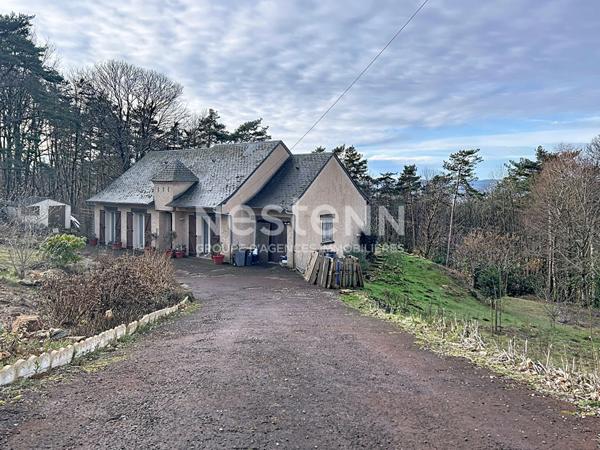 Maison de plain pied à vendre : Palazinges, 92m2 habitable, pièce de vie de 47m2, jardin arboré, 3 chambres, vue, poêle à bois et isolation récente, Garage