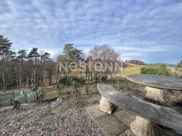 Maison de plain pied à vendre : Palazinges, 92m2 habitable, pièce de vie de 47m2, jardin arboré, 3 chambres, vue, poêle à bois et isolation récente, Garage