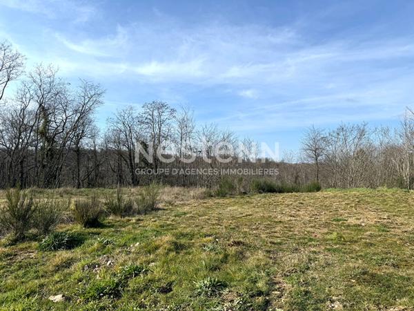 A VENDRE PROCHE AUTERIVE: TERRAIN DE 6293 M2 VIABILISE, LIBRE DE TOUS CONSTRUCTEURS