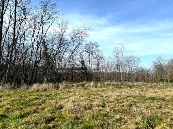 A VENDRE PROCHE AUTERIVE: TERRAIN DE 6293 M2 VIABILISE, LIBRE DE TOUS CONSTRUCTEURS