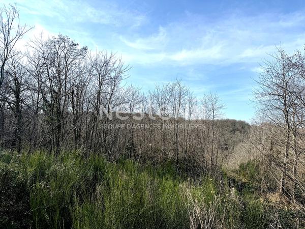 A VENDRE PROCHE AUTERIVE: TERRAIN DE 6293 M2 VIABILISE, LIBRE DE TOUS CONSTRUCTEURS