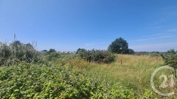 Terrain à vendre  995 m2 QUIBERON - 56