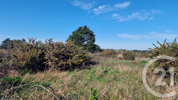 Terrain à vendre  995 m2 QUIBERON - 56