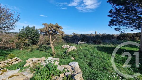 Terrain à vendre  995 m2 QUIBERON - 56