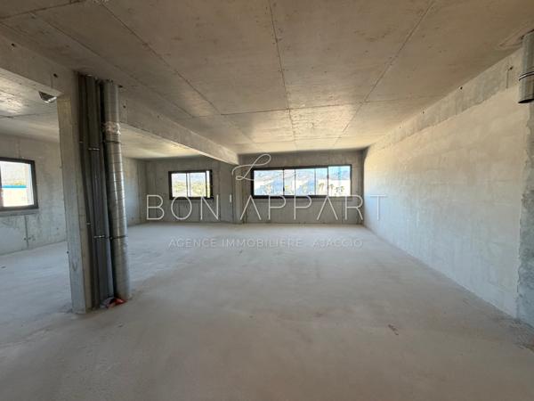 Local professionnel 110 m²