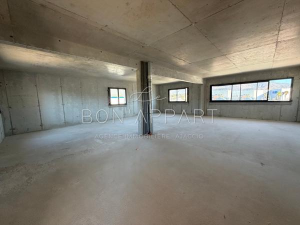 Local professionnel 110 m²