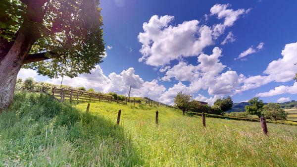 Saint-Pierre-le-Vieux (71520) Maison dans le Maconnais avec dépendance et grand jardin au calme
