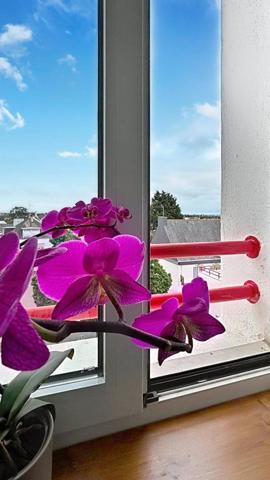 Beau T2 lumineux – 55 m² – Quartier Le Plessis, Lanester – Cave + parking privé