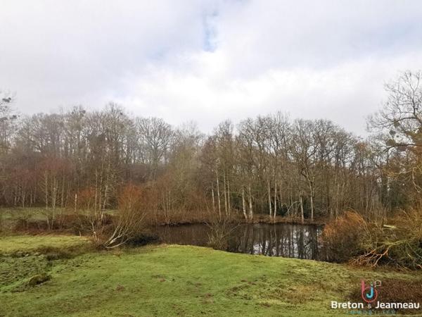 Maison sur 2,5ha à Vimartin sur Orthe