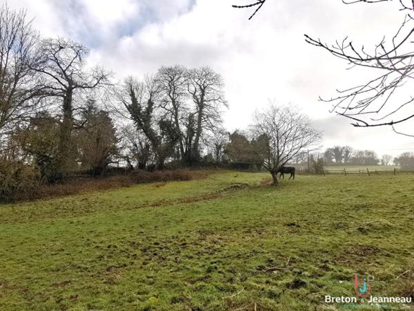 Maison sur 2,5ha à Vimartin sur Orthe