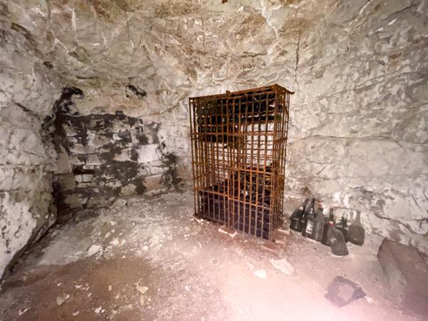 CORPS DE FERME et BELLES DEPENDANCES sur 1,15 hectare