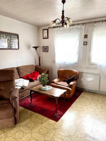 Maison avec jardin et garages