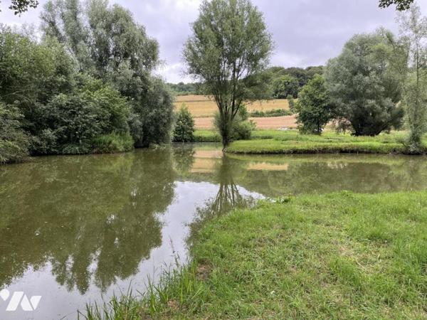 Exclusivité : LABROYE, Terrain de loisir avec étang et poissons, route d'accès en voiture