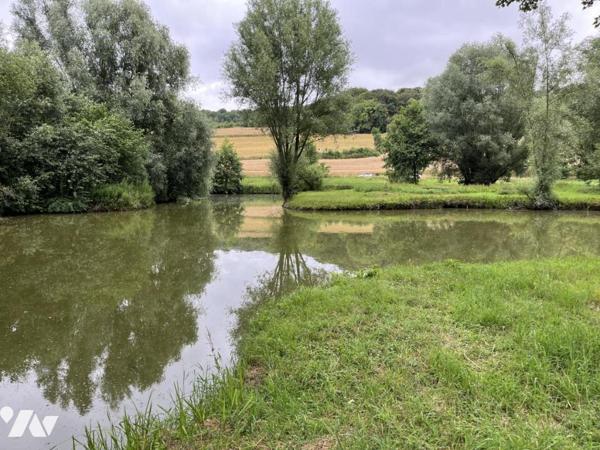 Exclusivité : LABROYE, Terrain de loisir avec étang et poissons, route d'accès en voiture