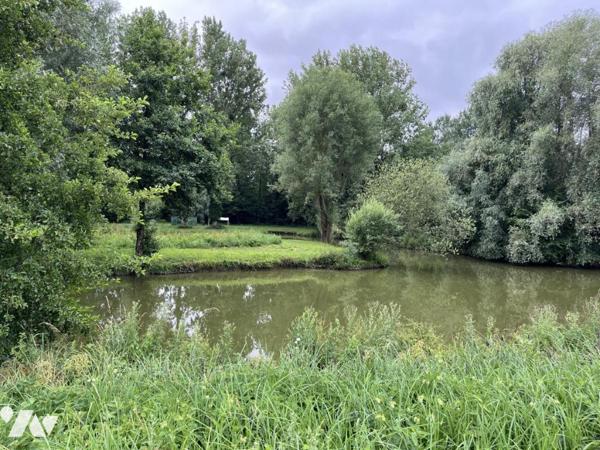 Exclusivité : LABROYE, Terrain de loisir avec étang et poissons, route d'accès en voiture