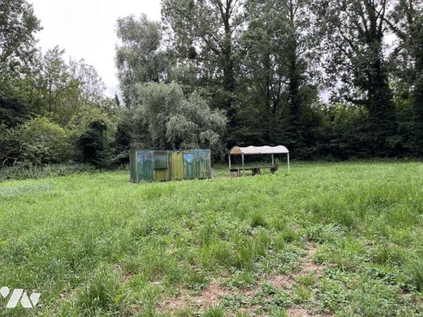 Exclusivité : LABROYE, Terrain de loisir avec étang et poissons, route d'accès en voiture