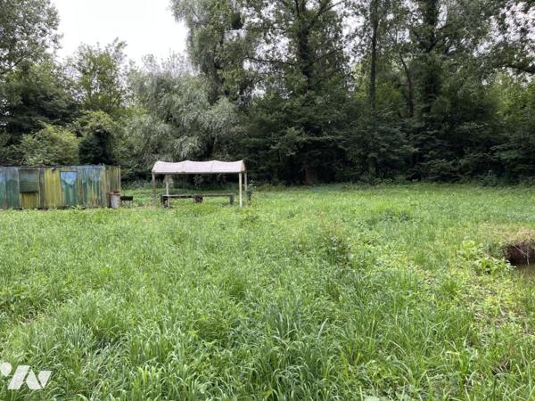 Exclusivité : LABROYE, Terrain de loisir avec étang et poissons, route d'accès en voiture