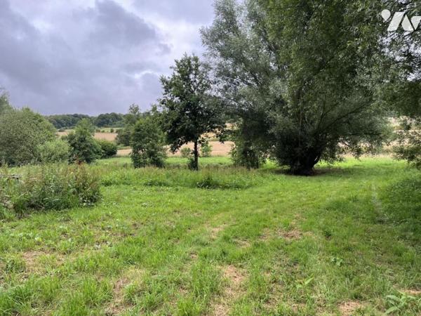 Exclusivité : LABROYE, Terrain de loisir avec étang et poissons, route d'accès en voiture