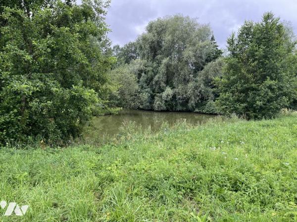 Exclusivité : LABROYE, Terrain de loisir avec étang et poissons, route d'accès en voiture