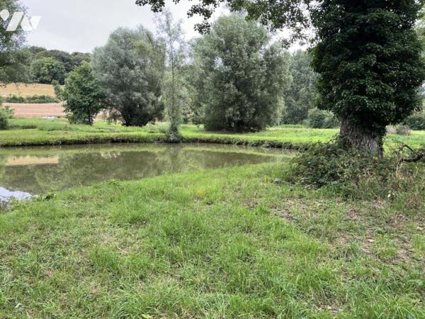 Exclusivité : LABROYE, Terrain de loisir avec étang et poissons, route d'accès en voiture
