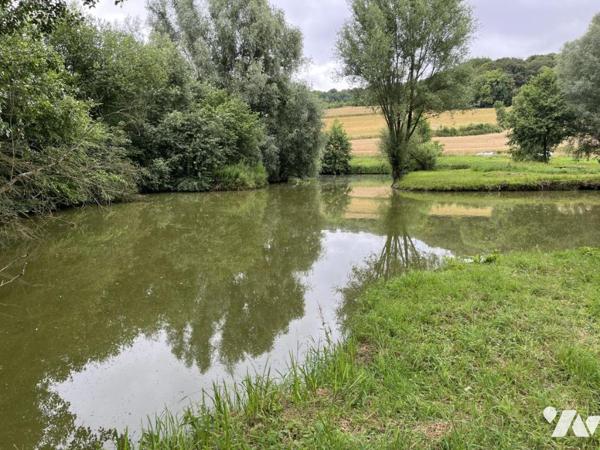 Exclusivité : LABROYE, Terrain de loisir avec étang et poissons, route d'accès en voiture