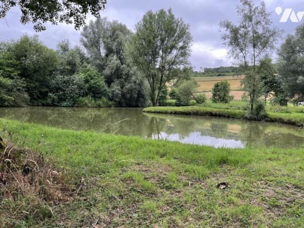 Exclusivité : LABROYE, Terrain de loisir avec étang et poissons, route d'accès en voiture