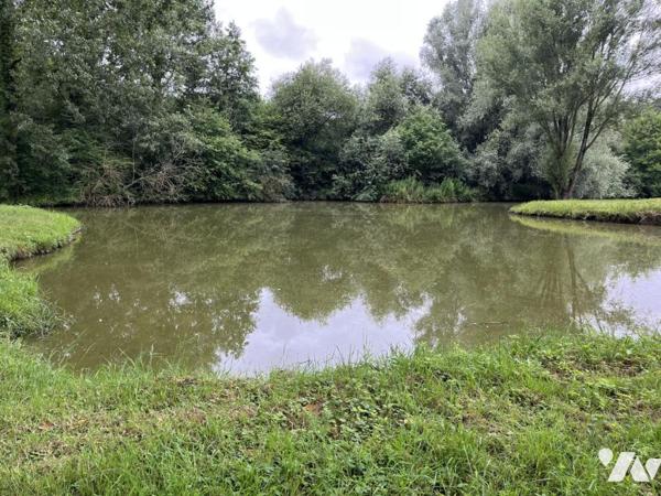 Exclusivité : LABROYE, Terrain de loisir avec étang et poissons, route d'accès en voiture