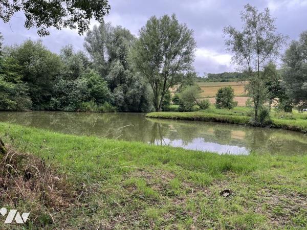 Exclusivité : LABROYE, Terrain de loisir avec étang et poissons, route d'accès en voiture