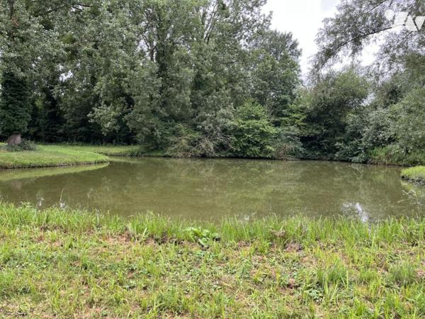 Exclusivité : LABROYE, Terrain de loisir avec étang et poissons, route d'accès en voiture