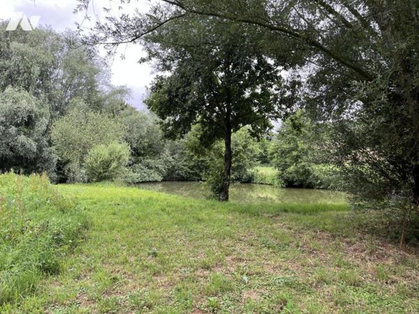 Exclusivité : LABROYE, Terrain de loisir avec étang et poissons, route d'accès en voiture