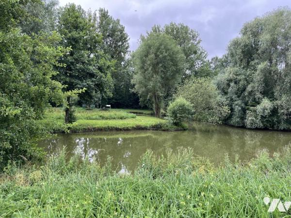 Exclusivité : LABROYE, Terrain de loisir avec étang et poissons, route d'accès en voiture
