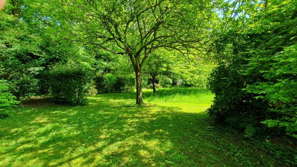 Belle maison de Maître, 5-6 chambres, 1Ha de terrain