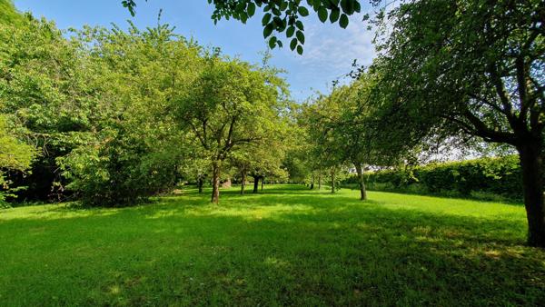 Belle maison de Maître, 5-6 chambres, 1Ha de terrain